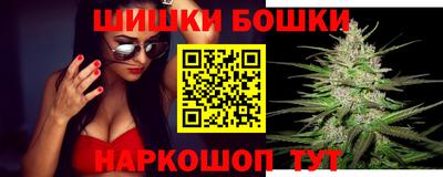 гидра Новозыбков