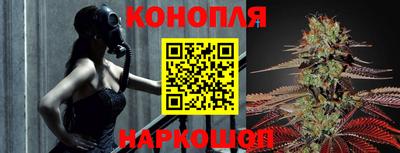 гидра Новозыбков