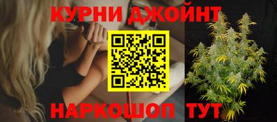 гидра Новозыбков