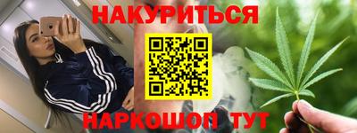 гидра Новозыбков