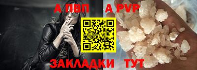 гидра Новозыбков