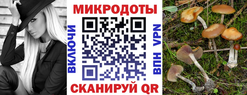 Псилоцибиновые грибы MAGIC MUSHROOMS  хочу   Черногорск 