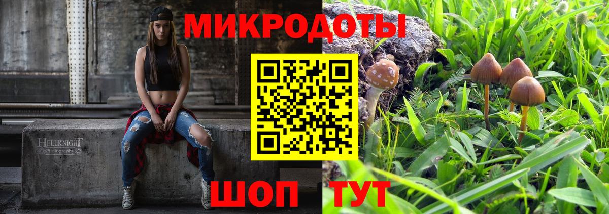 Псилоцибиновые грибы Psilocybine cubensis  Вход с VPN  Черногорск 